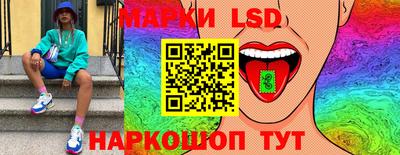 шишки Лесной