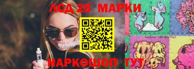 шишки Лесной