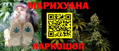 шишки Лесной
