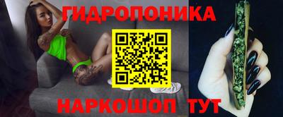 шишки Лесной