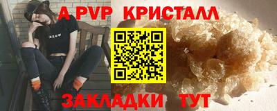 шишки Лесной
