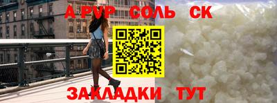 шишки Лесной
