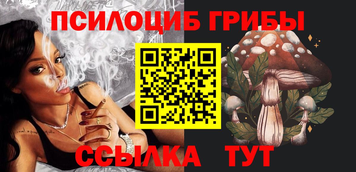Галлюциногенные грибы прущие грибы  Галлюциногенные грибы прущие грибы  Вход с VPN  Губаха 